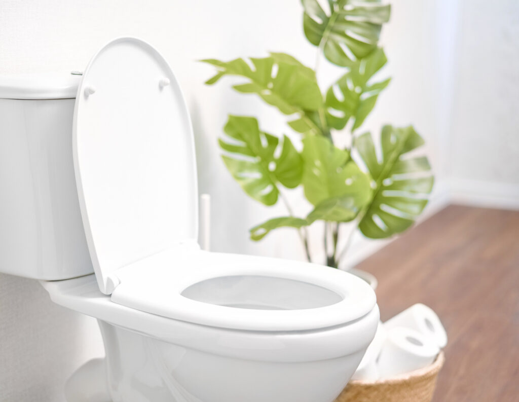 Ceramic toilet bowl with toilet paper near light wall